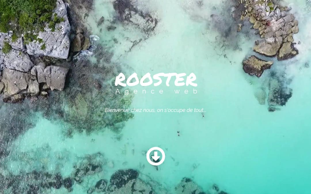 Nouveaux services Rooster.casa